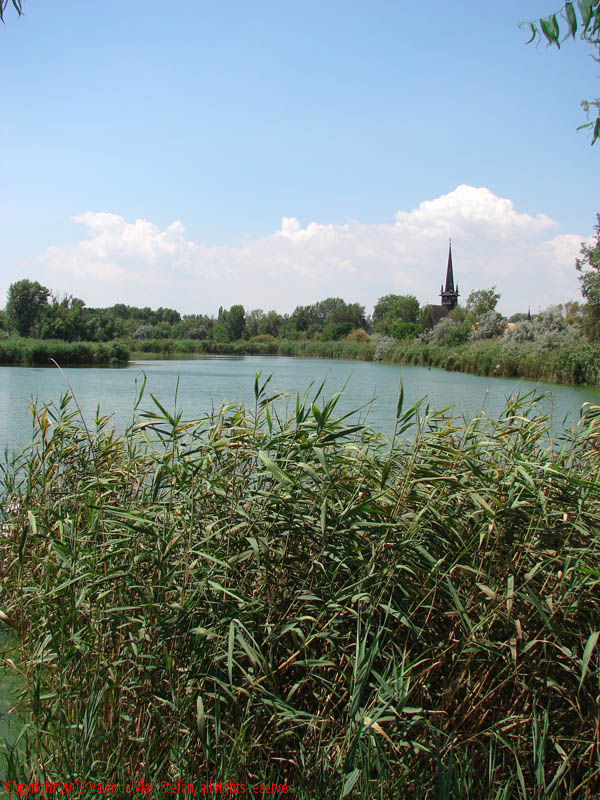 Vaivoda Vlad fotograf in Romania lac apa salcie Panorama Microrezervatia Biserica Sfantul Mina Constanta 2007 poza 3