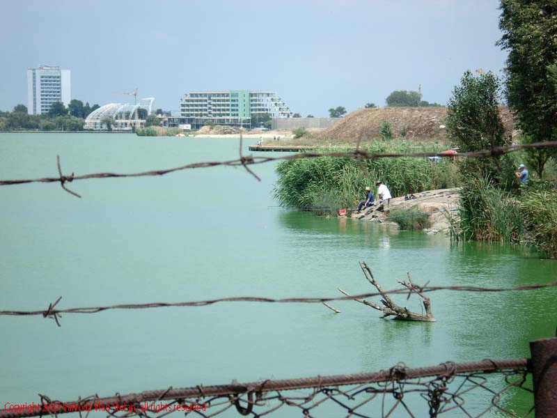 Vaivoda Vlad fotograf in Romania lac lacul tabacariei peisaj natura natural trestie copaci vegetatie acvatic mamaia Microrezervatia Constanta 2007