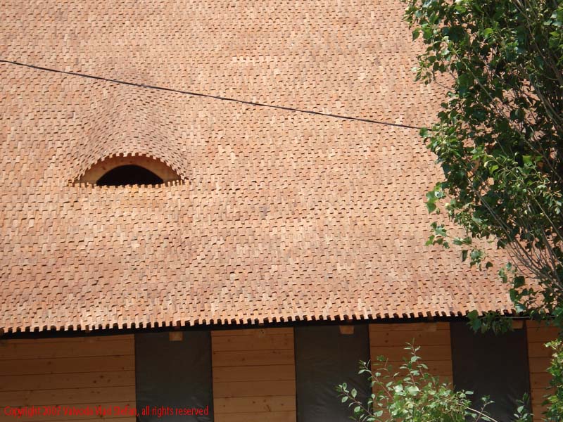 Vaivoda Vlad fotograf in Romania acoperis casa lemn Microrezervatia Constanta 2007