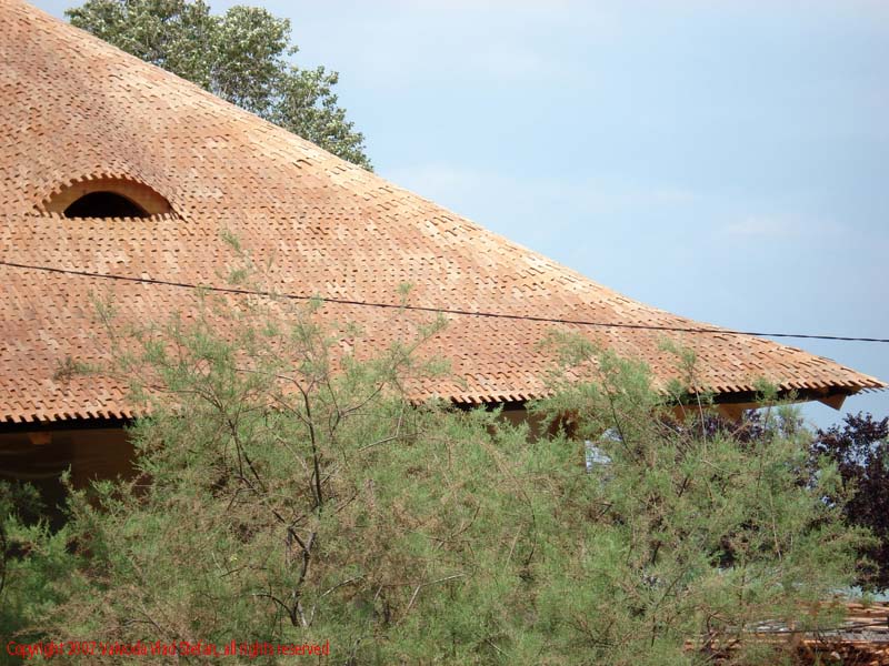 Vaivoda Vlad fotograf in Romania acoperis casa lemn Microrezervatia Constanta 2007