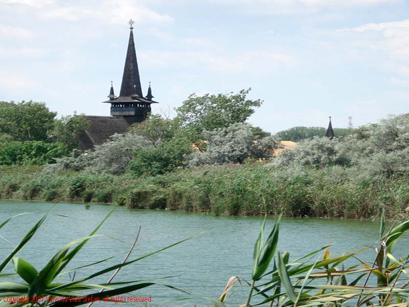 Vaivoda Vlad fotograf in Romania lemn Biserica Sfantul Mina Microrezervatia Constanta 2007