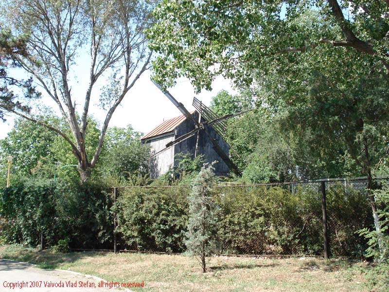 Vaivoda Vlad fotograf in Romania acoperis lem Moara de vant in Microrezervatia Constanta 2007