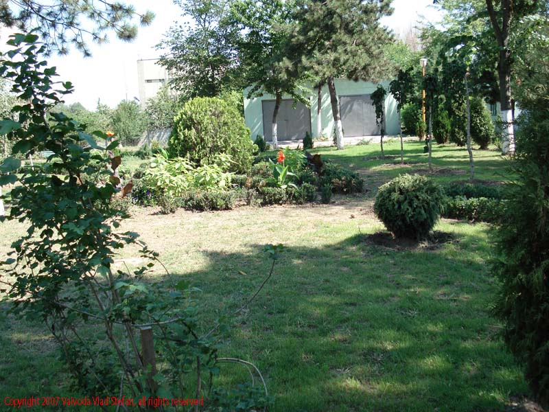 Vaivoda Vlad fotograf in Romania iarba verde Microrezervatia Constanta 2007