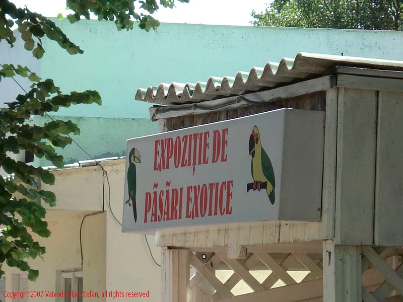 Vaivoda Vlad fotograf in Romania Expozitie pasari exotice Microrezervatia Constanta 2007