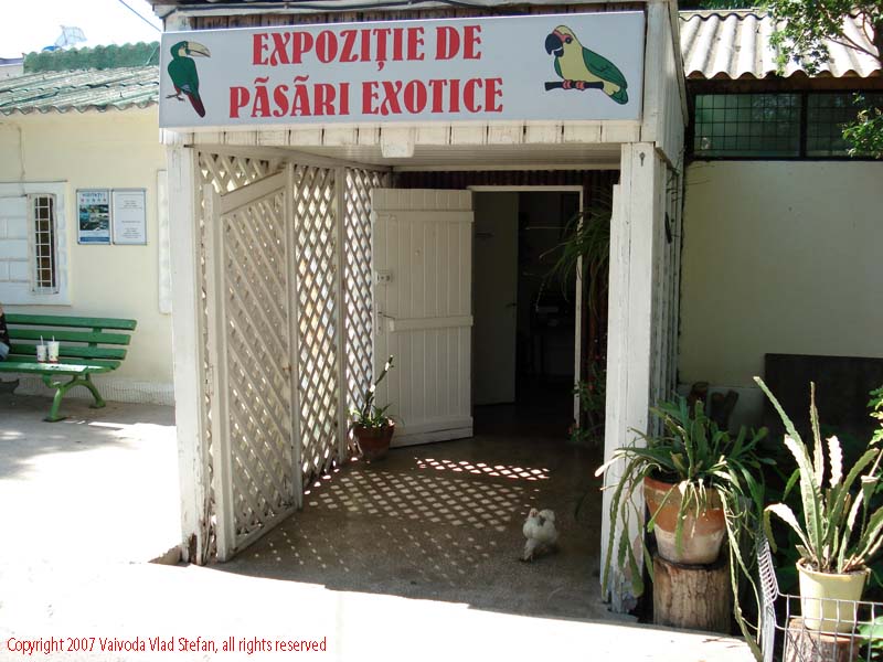 Vaivoda Vlad fotograf in Romania Expozitie pasari exotice Microrezervatia Constanta 2007