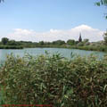 thumbnail poza galeria Microrezervatia Constanta 2007