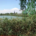 thumbnail poza galeria Microrezervatia Constanta 2007