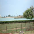 thumbnail poza galeria Microrezervatia Constanta 2007
