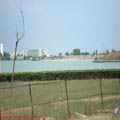 thumbnail poza galeria Microrezervatia Constanta 2007