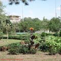 thumbnail poza galeria Microrezervatia Constanta 2007
