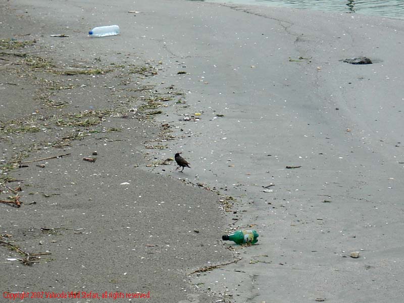 Plaja Mamaia 2007 Constanta Vaivoda Vlad fotograf in Romania turism turist litoral nisip vara mal marea neagra val valuri