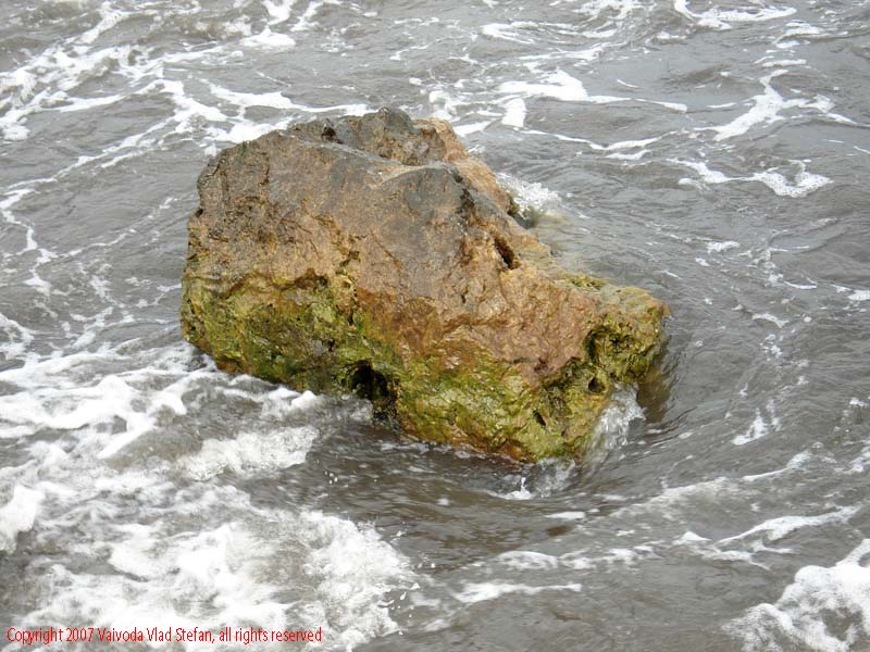 stabilopozi Marea Neagra Mamaia 2007 Constanta Vaivoda Vlad fotograf in Romania turism turist litoral vara mal