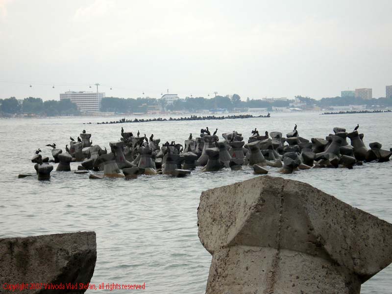 stabilopozi Marea Neagra Mamaia 2007 poza 7 Constanta Vaivoda Vlad fotograf in Romania turism turist litoral vara mal