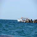 thumbnail galerie plaja Mamaia 2007