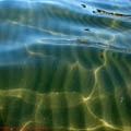 thumbnail galerie plaja Mamaia 2007