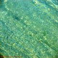 thumbnail galerie plaja Mamaia 2007