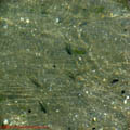 thumbnail galerie plaja Mamaia 2007