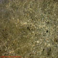 thumbnail galerie plaja Mamaia 2007