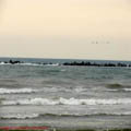 thumbnail galerie plaja Mamaia 2007