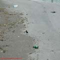 thumbnail galerie plaja Mamaia 2007