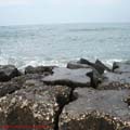 thumbnail galerie plaja Mamaia 2007