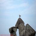 thumbnail galerie plaja Mamaia 2007