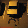 Thumbnail 6 galerie imagini accidente 2007