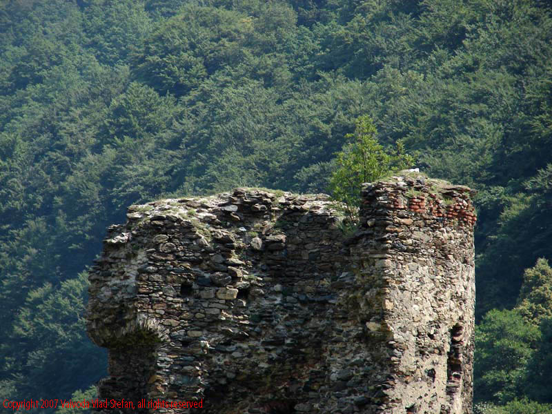 Vaivoda Vlad fotograf in Romania drum european national sosea sosele excursie calatorie calator voiaj masina automobil condus sofat soferie circula circulatie daewoo matiz autostrada autostrazi rutier trafic Turnul Spart E81 DN7 Valea Oltului 2007 adancime de camp dof