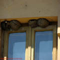 Thumbnail poze galerie pe Valea Oltului 2007