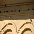 Thumbnail poze galerie pe Valea Oltului 2007