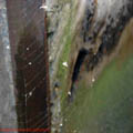 Thumbnail poze galerie pe Valea Oltului 2007