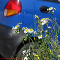 Thumbnail poze galerie pe Valea Oltului 2007
