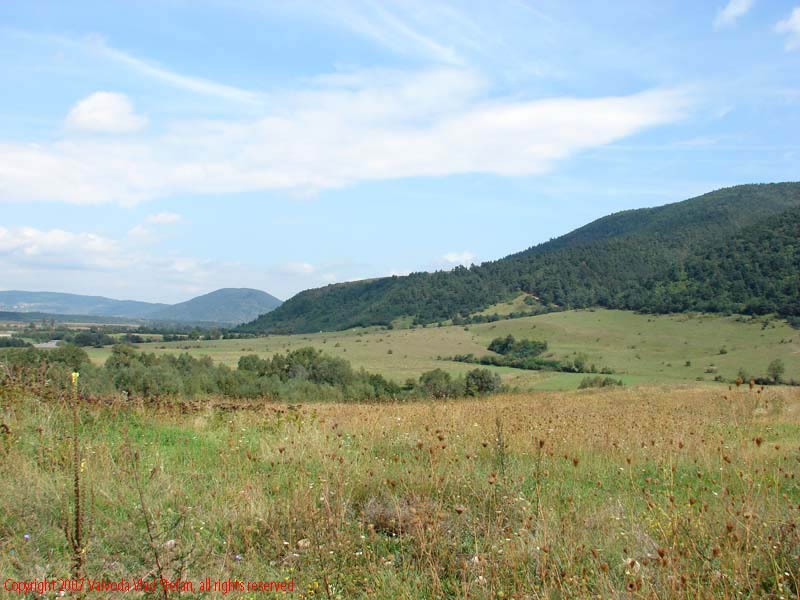Vaivoda Vlad fotograf in Romania drum european national sosea sosele excursie calatorie calator voiaj masina automobil condus sofat soferie circula circulatie daewoo matiz natura natural deal dealuri padure paduri Peisaj Ohaba E79 DN66 2007