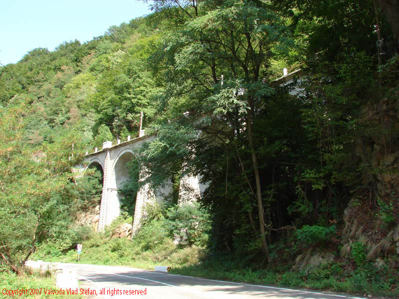 Vaivoda Vlad fotograf in Romania drum european national sosea sosele excursie calatorie calator voiaj masina automobil condus sofat soferie circula circulatie daewoo matiz viaduct tren cfr pod copaci padure Pe E79 DN66 peisaj din Defileul Jiului 2007