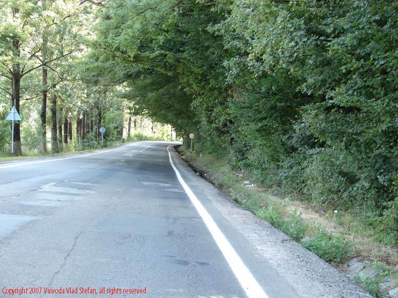 Vaivoda Vlad fotograf in Romania drum european national sosea sosele excursie calatorie calator voiaj masina automobil condus sofat soferie circula circulatie daewoo matiz autostrada autostrazi rutier trafic copaci pomi Spre Savarsin E68 Dn7 2007