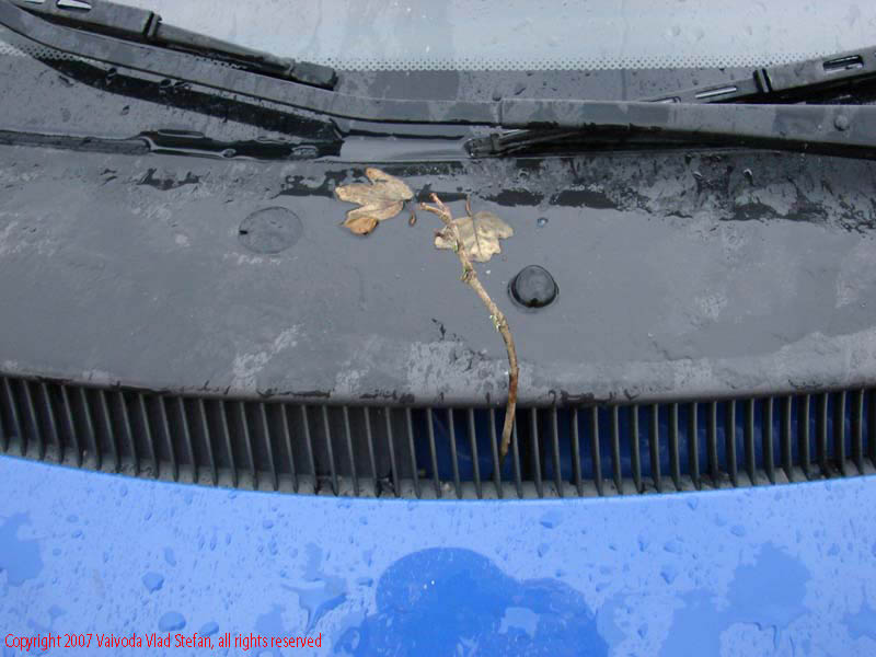 Vaivoda Vlad fotograf in Romania drum european national sosea sosele excursie calatorie calator voiaj masina automobil condus sofat soferie circula circulatie daewoo matiz trafic prim plan frunza uscata ploaie grila ornament parbriz E673 DN68A 2007