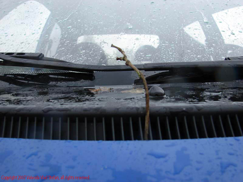 Vaivoda Vlad fotograf in Romania drum european national sosea sosele excursie calatorie calator voiaj masina automobil condus sofat soferie circula circulatie daewoo matiz trafic prim plan creanga crenaguta grila ornament parbriz E673 DN68A 2007