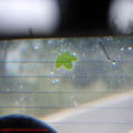 thumbnail poze pe traseul Lugoj Faget Deva 2007
