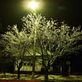 Thumbnail poze galerie aiurea pe sosele 2007