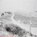 Thumbnail poze galerie aiurea pe sosele 2007