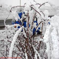 Thumbnail poze galerie aiurea pe sosele 2007