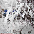 Thumbnail poze galerie aiurea pe sosele 2007