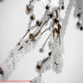 Thumbnail poze galerie aiurea pe sosele 2007