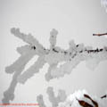 Thumbnail poze galerie aiurea pe sosele 2007