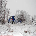 Thumbnail poze galerie aiurea pe sosele 2007
