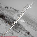 Thumbnail poze galerie aiurea pe sosele 2007