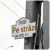 Vaivoda Vlad fotograf in Romania logo galerie fotografii pe strazi